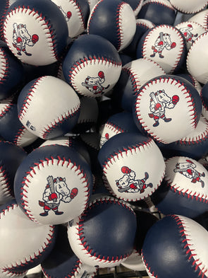 New Arrivals – Binghamton Rumble Ponies